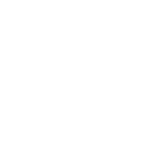 Microsoft Focus